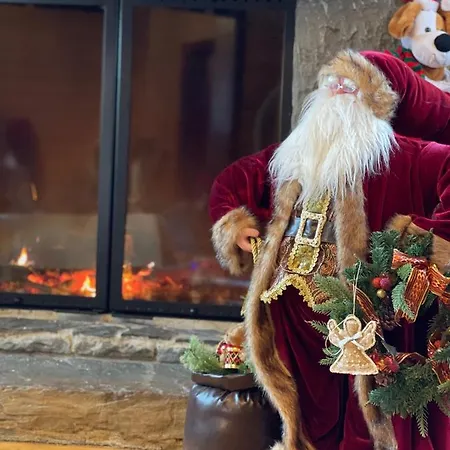 Вилла софі Верховина