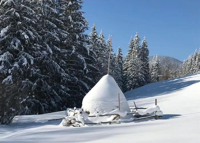 софі * Werchowyna