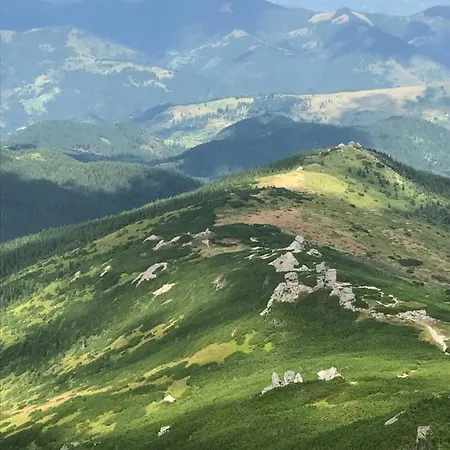 софі
