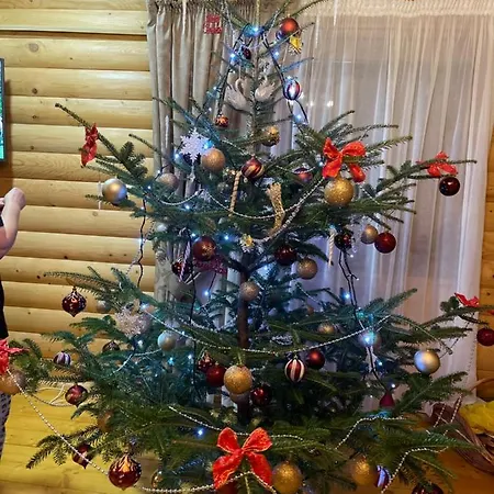 софі Willa Wierchowina