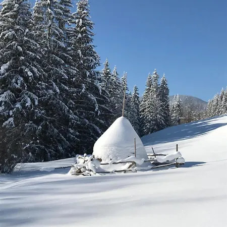 софі * Verkhovyna