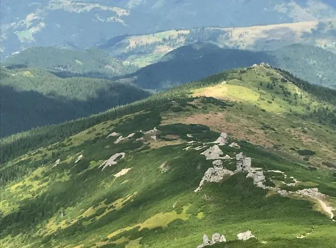 софі